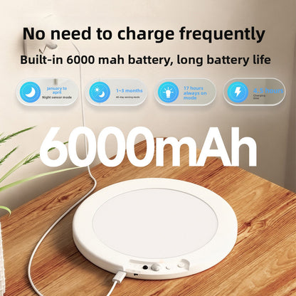 Rechargeable Motion Sensor Ceiling Light