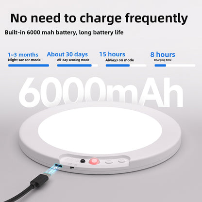 Rechargeable Motion Sensor Ceiling Light